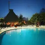 Be Live Palm Beach