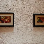 Hotel Tankah Cancun