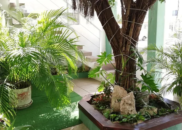 Quetzal Loft