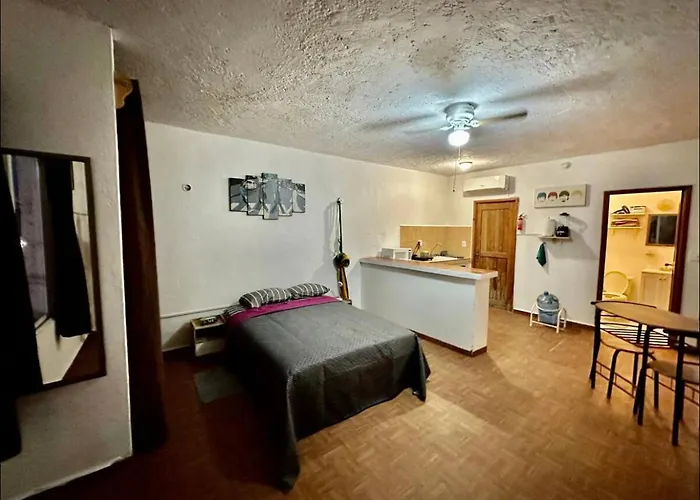 Studio In The Heart Of Cancun