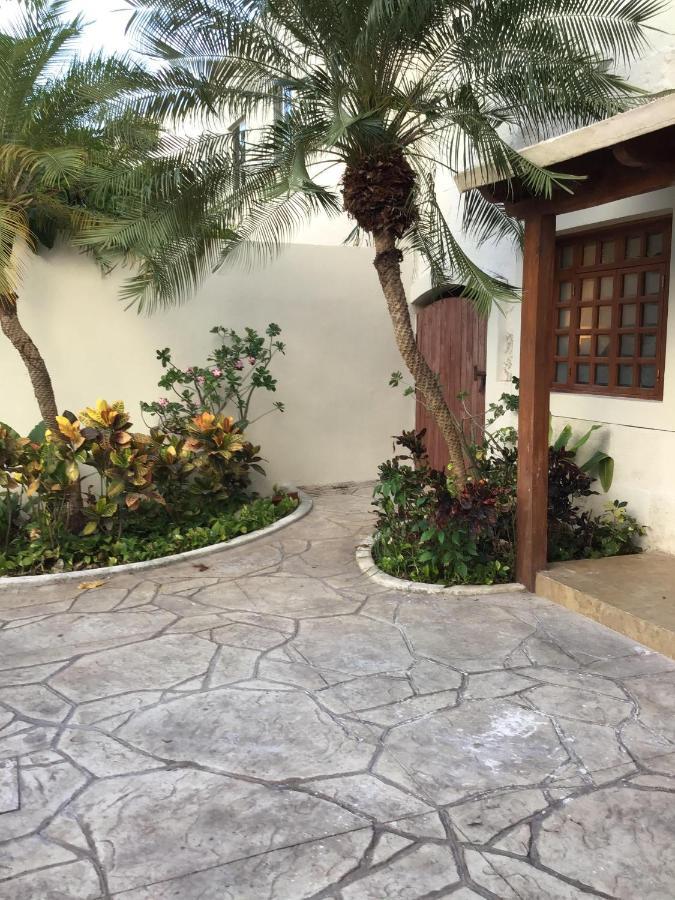 Pecari Frühstückspension Cancún