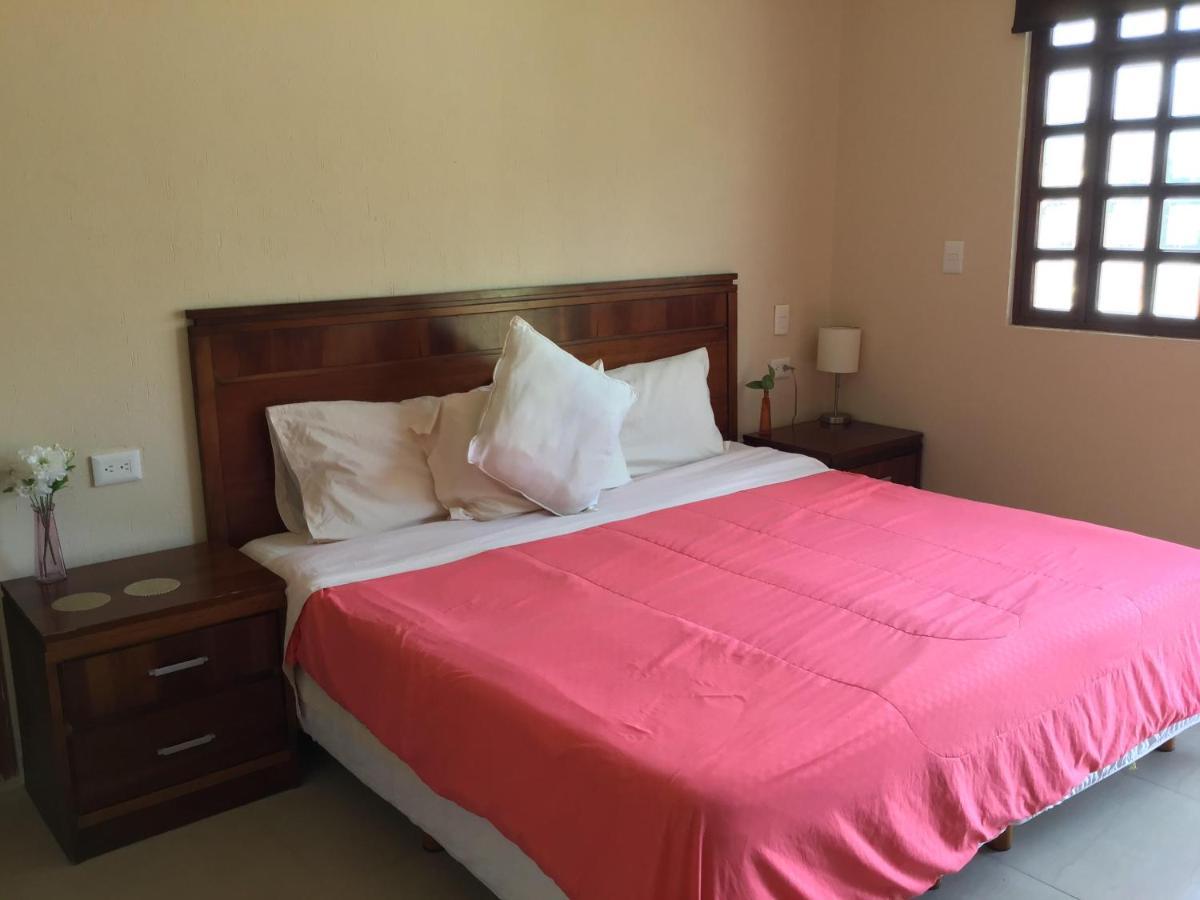 Pecari Cancún