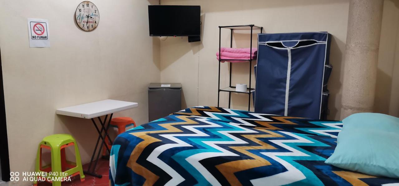 Homestay Casa Erizo 8