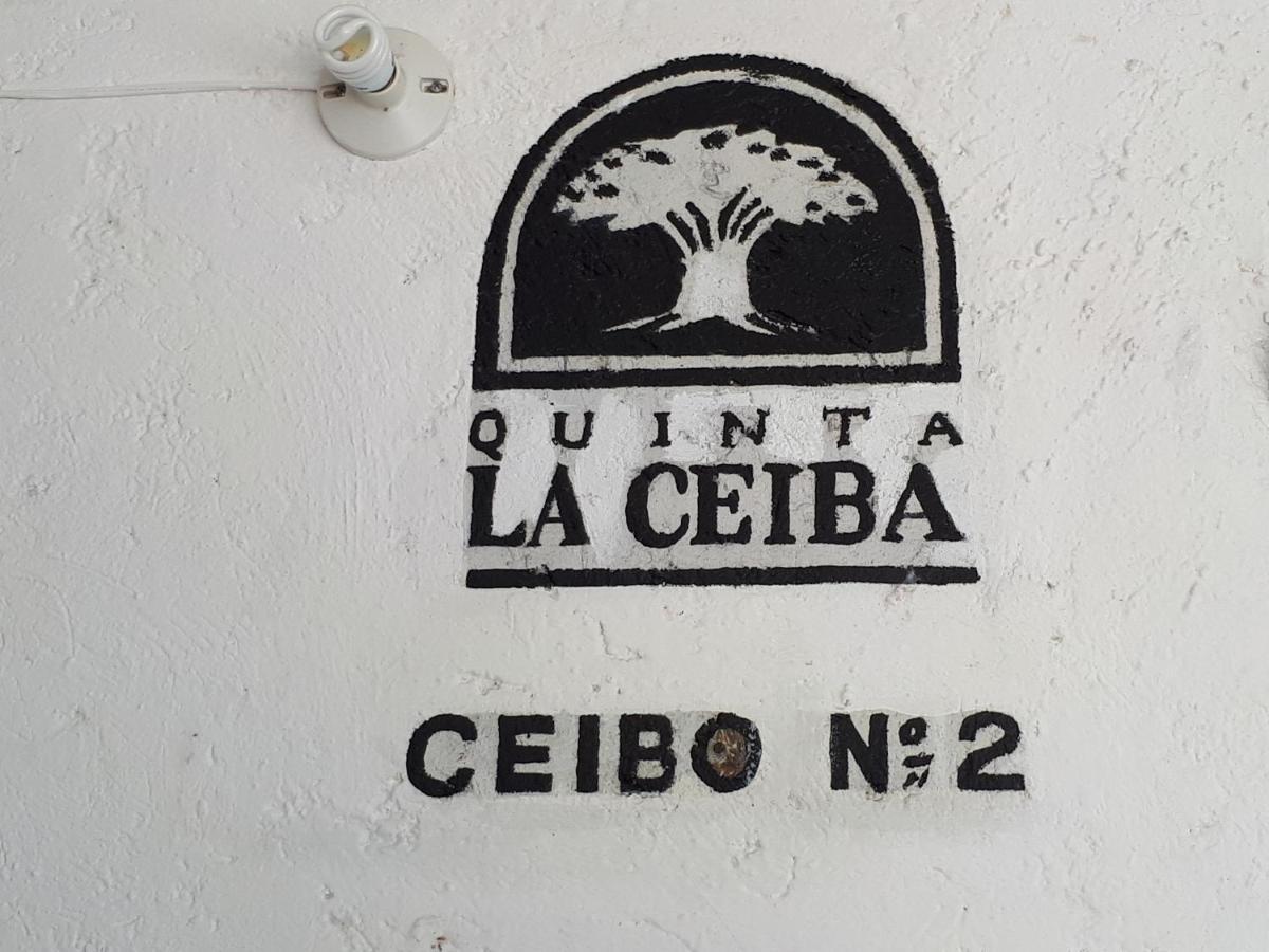Quinta La Ceiba, Locacion Perfecta En El Corazon De
