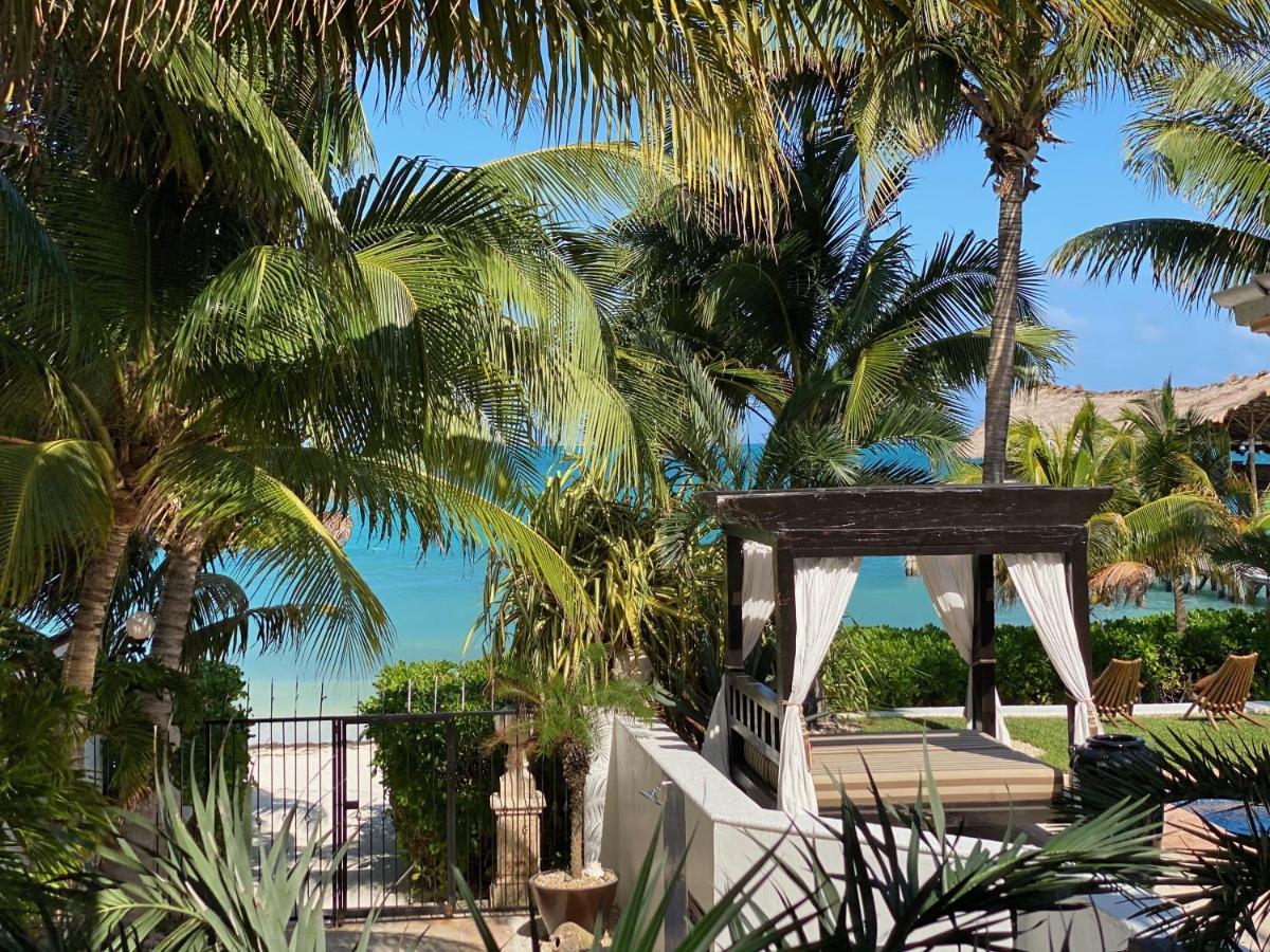 Albatros Oceanfront Luxury Hotelzone Cancun
