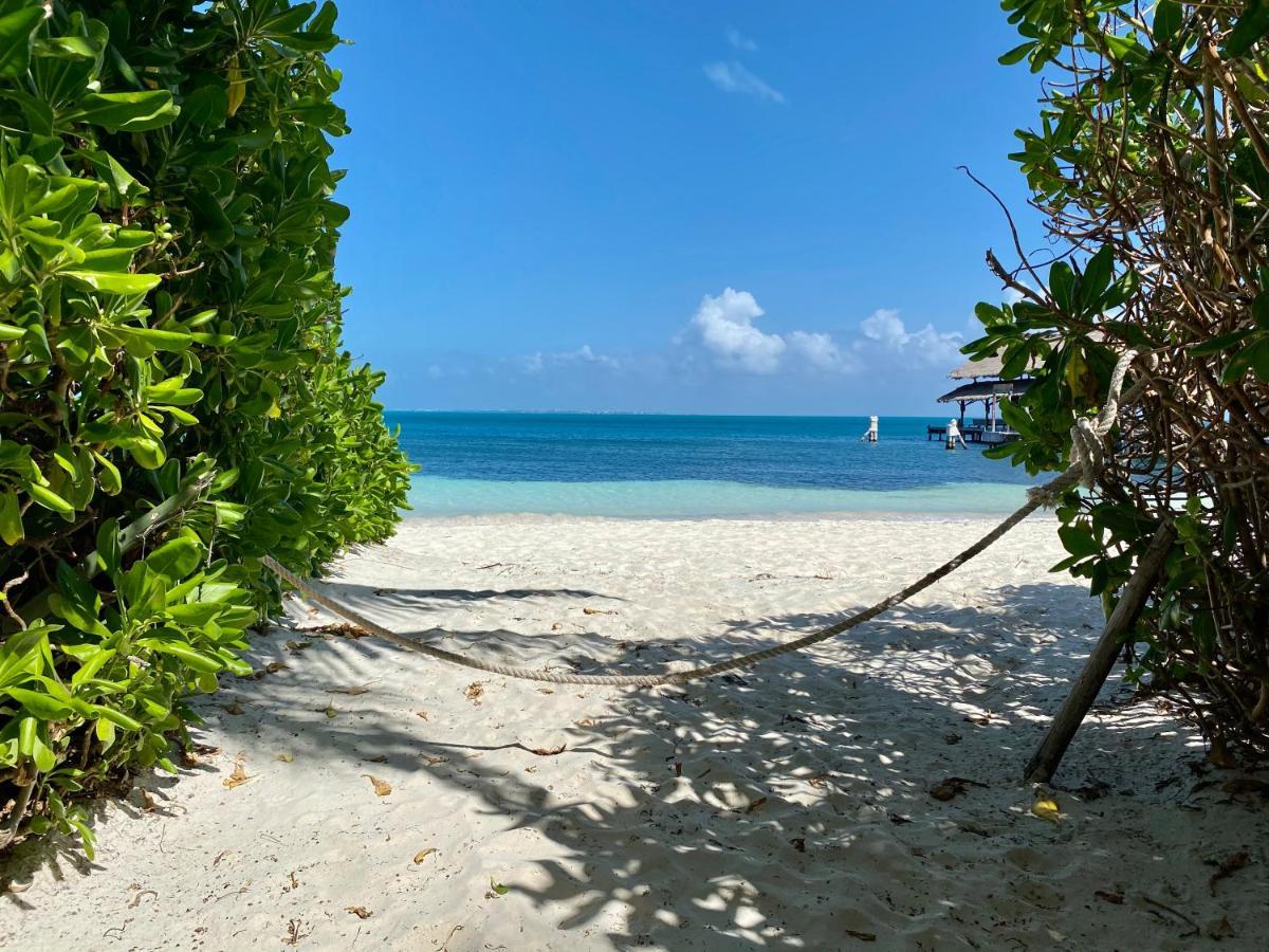 Albatros Oceanfront Luxury Hotelzone * Cancun