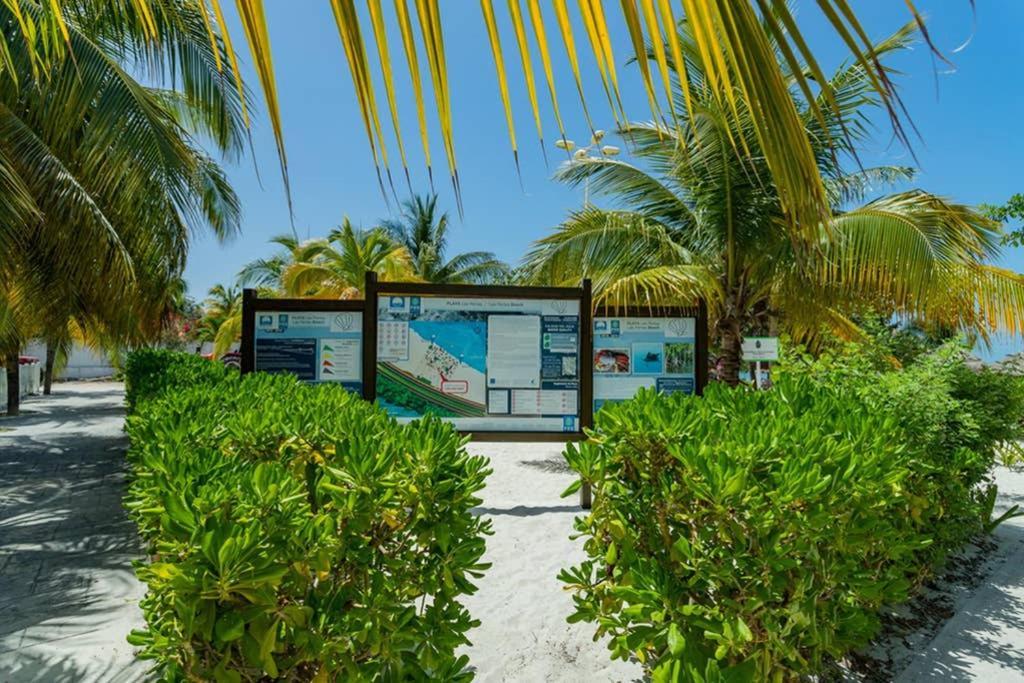 Apartment Amara Beachfront Caribe R *