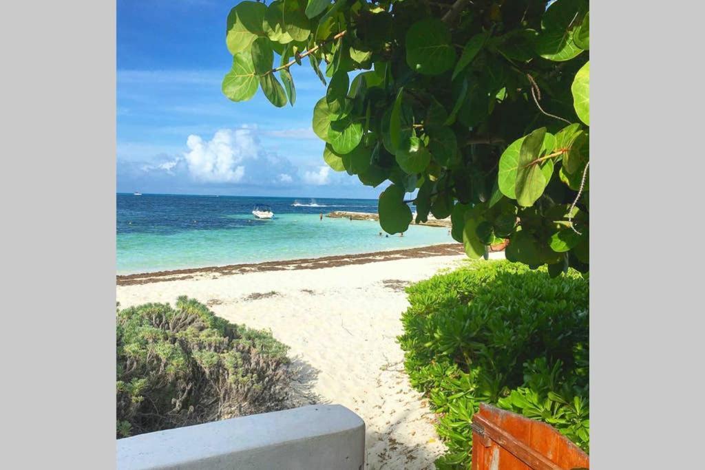 -villa Pez Volador- La Mejor Playa De Zh !! Cancún