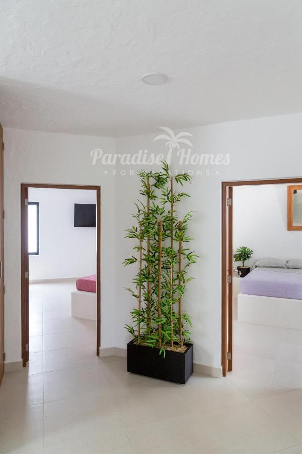 Villa -villa Pez Volador- La Mejor Playa De Zh !! Cancún
