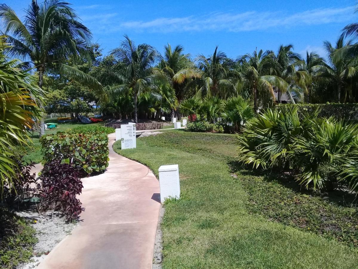 Swim The Caribbean & Work With A View Apartment