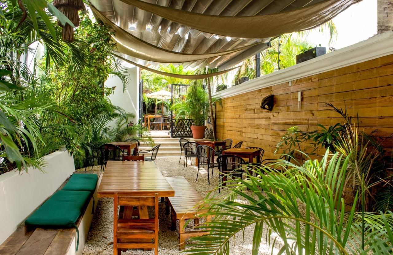 Hotel Nomads Enigmatic & Restaurant Bar Cancun