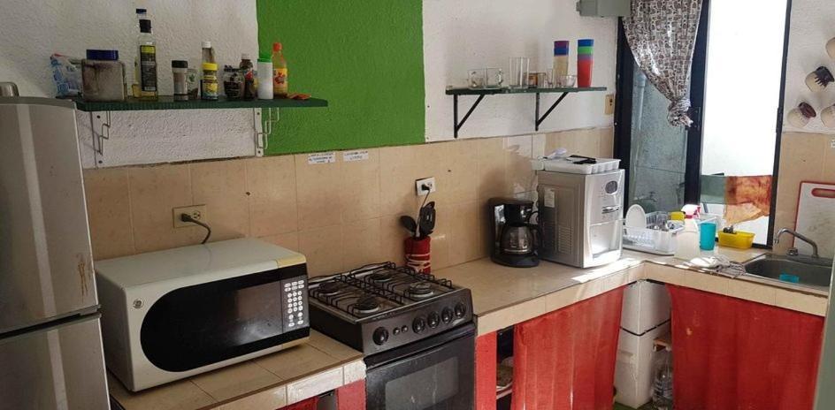 Balagan Planta Alta Guest house