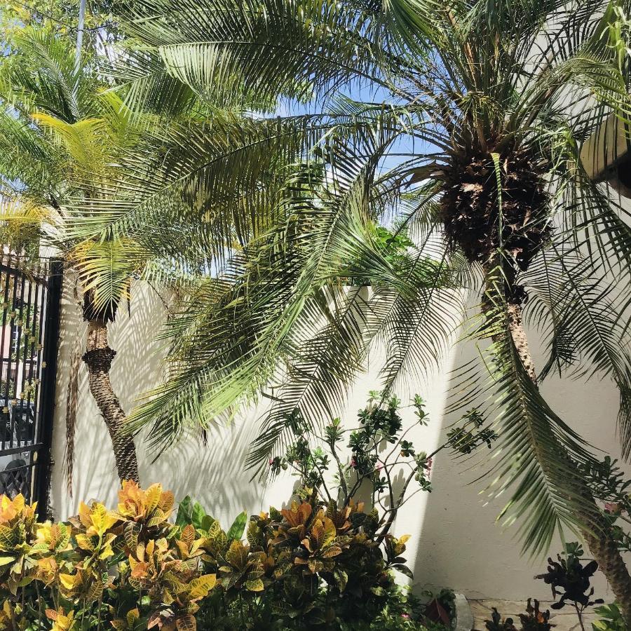 Pecari 3* Cancún