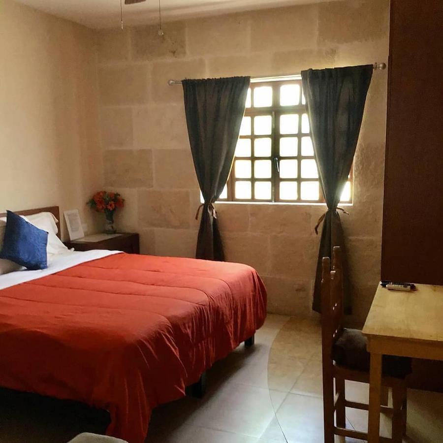 Pecari 3* Cancún