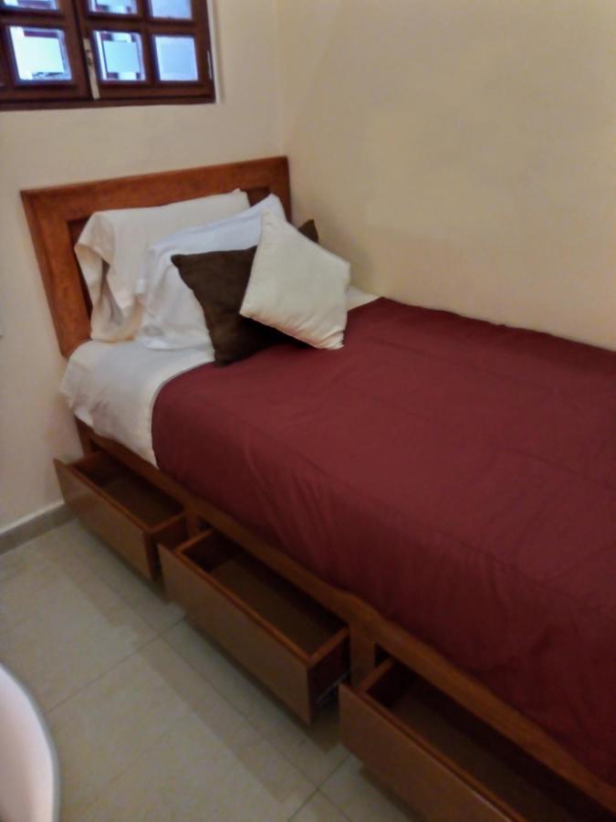 Pecari Cancún
