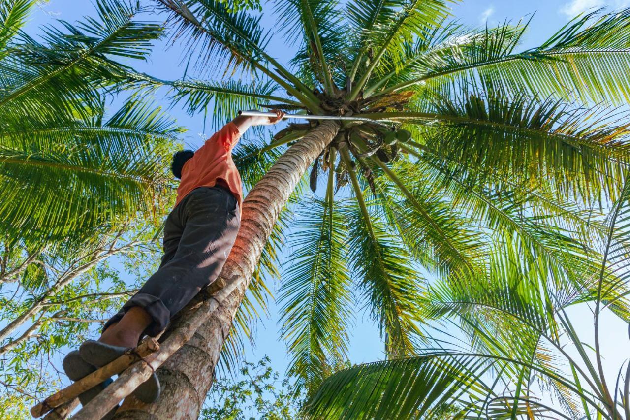 Finca Tuch Campingplatz Cancún