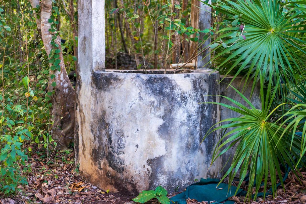 Finca Tuch Campsite *