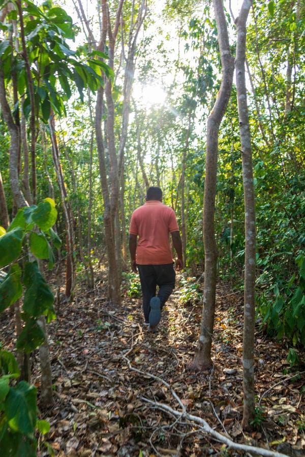 Finca Tuch Cancun