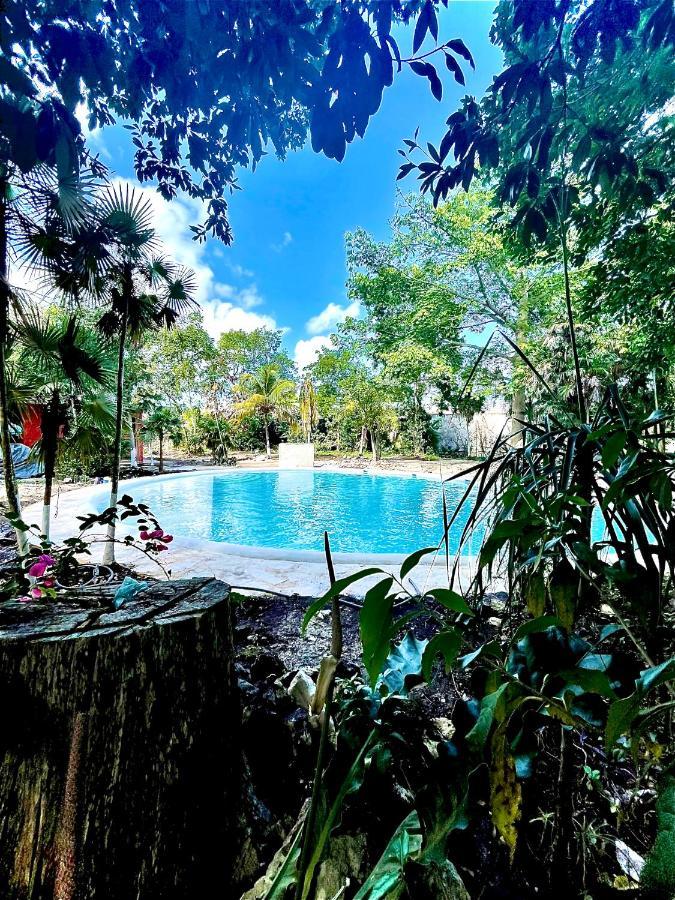 Hotel Tequila 4*
