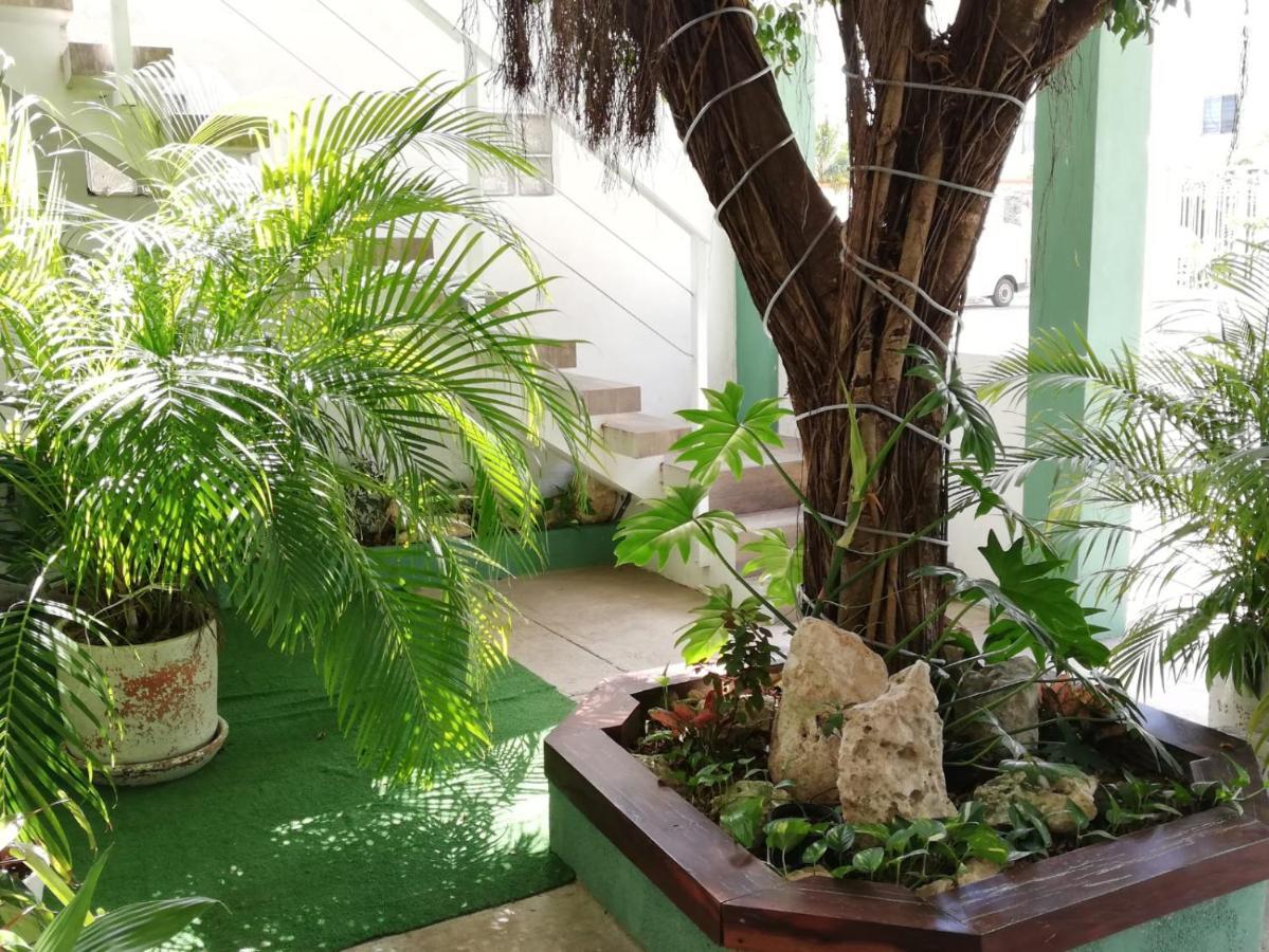 Apartment Quetzal Loft *
