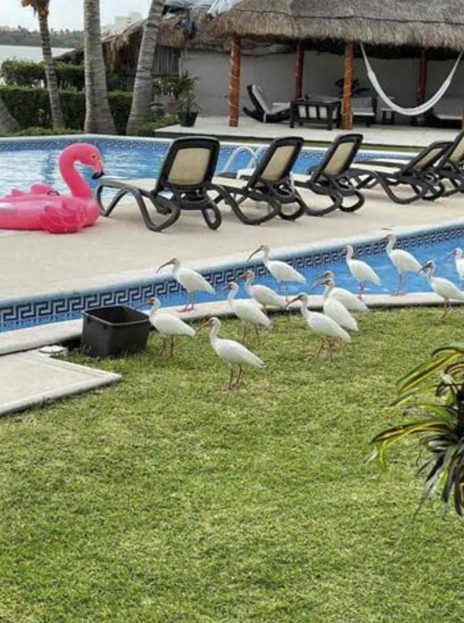 La Marina Villa *