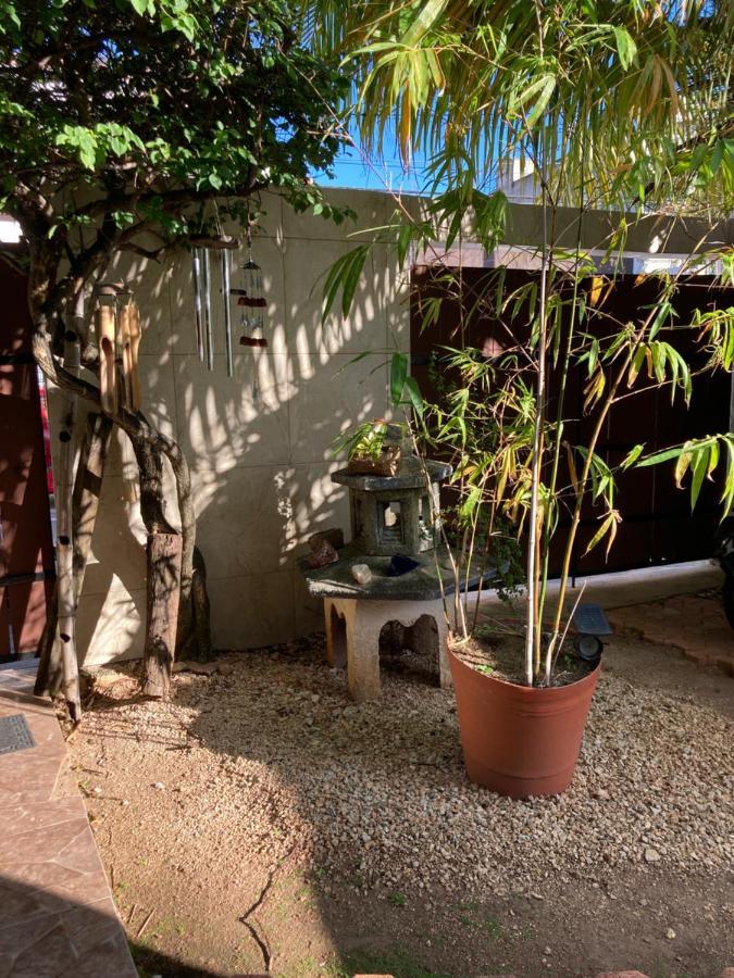 Violeta's House Apartment