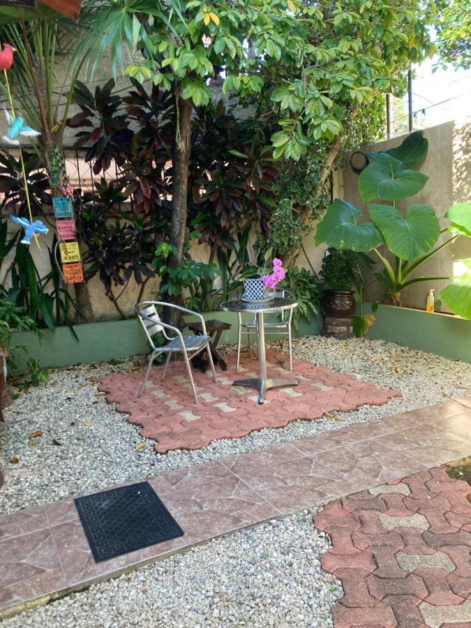 Apartment Violeta's House *