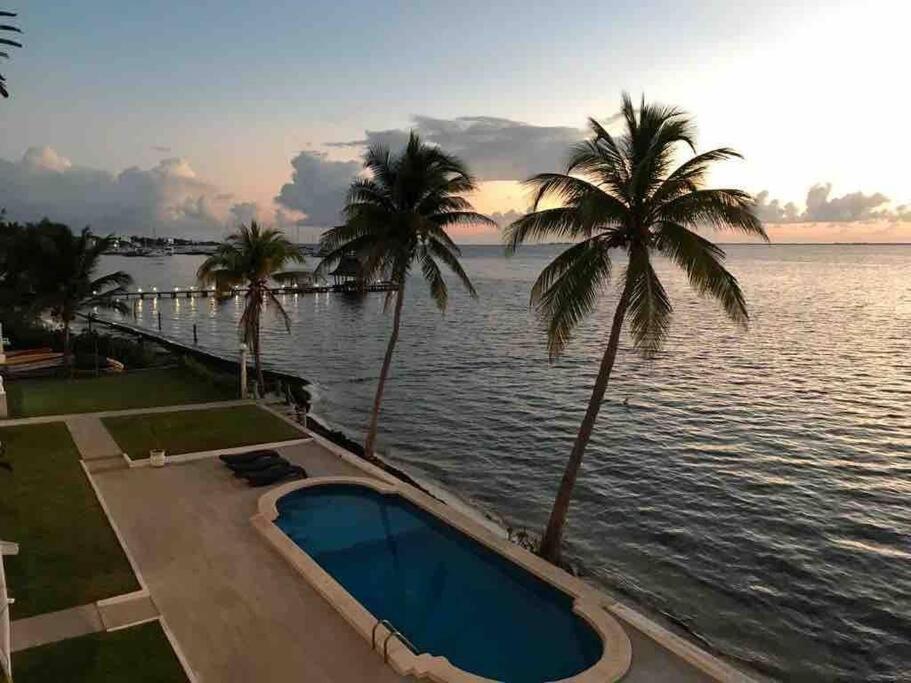 Apartment Flamingo By Andiani Travel Cancun