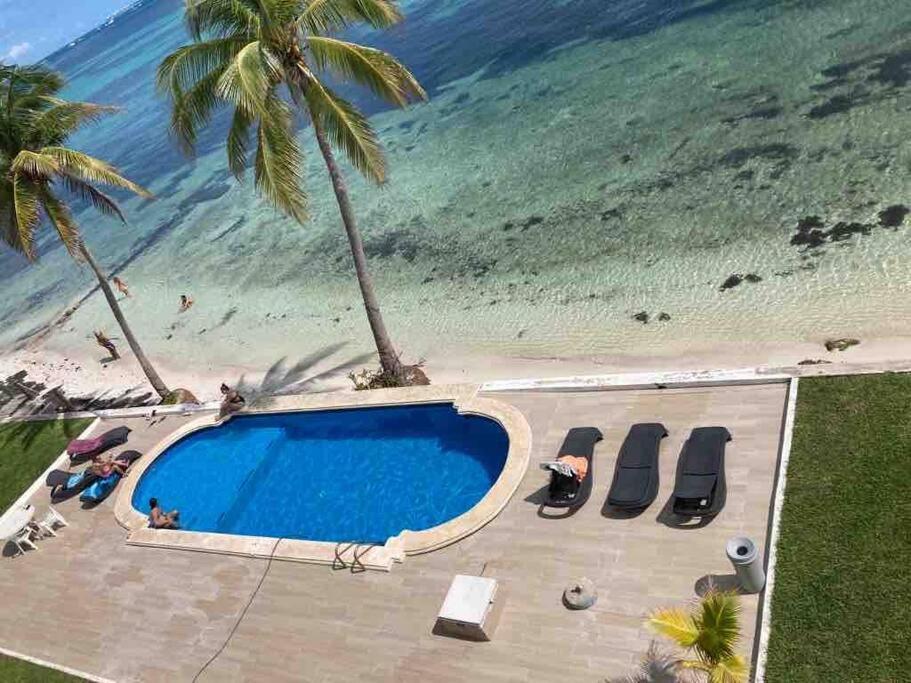 Apartment Flamingo By Andiani Travel Cancun