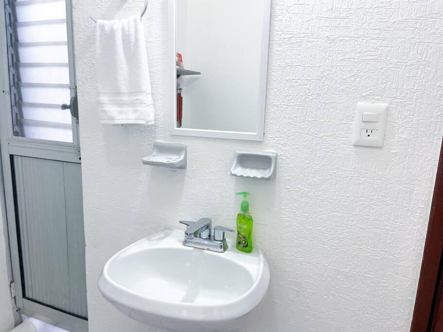 Apartment Flamingo By Andiani Travel Cancun