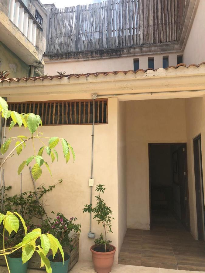 Casa Madre Naturaleza Guest house Cancun