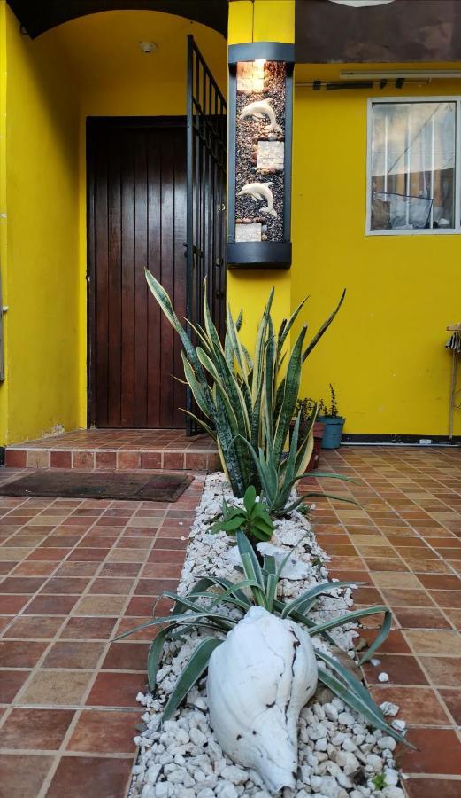 Apartment Casa Tortuga En Cancun