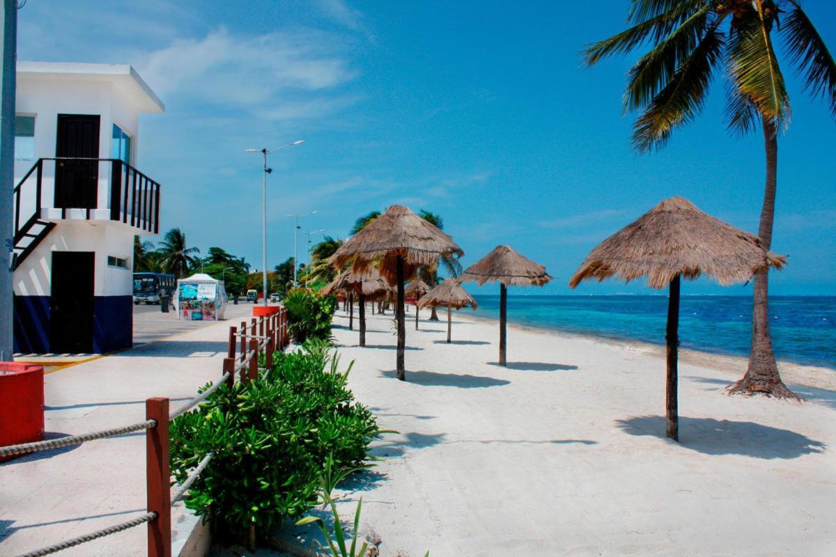 Punta Me Modern Mexican Near The Beach * Cancun