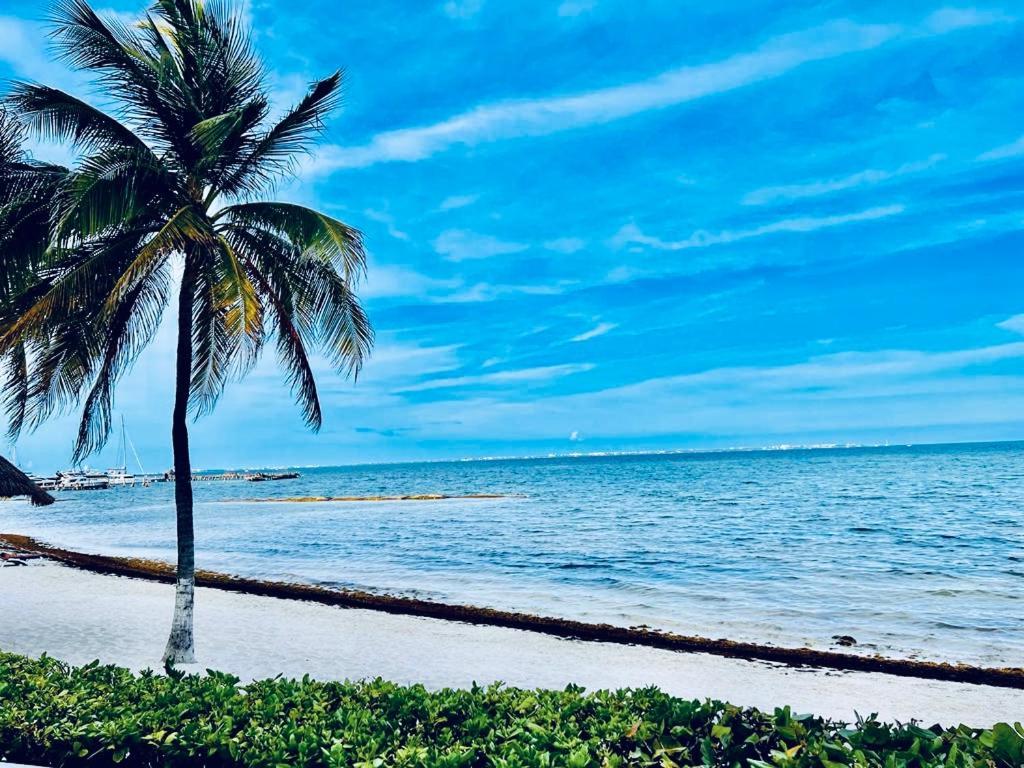 Punta Me Apartment Beach Front Condo Hotel & Waterpark Cancun