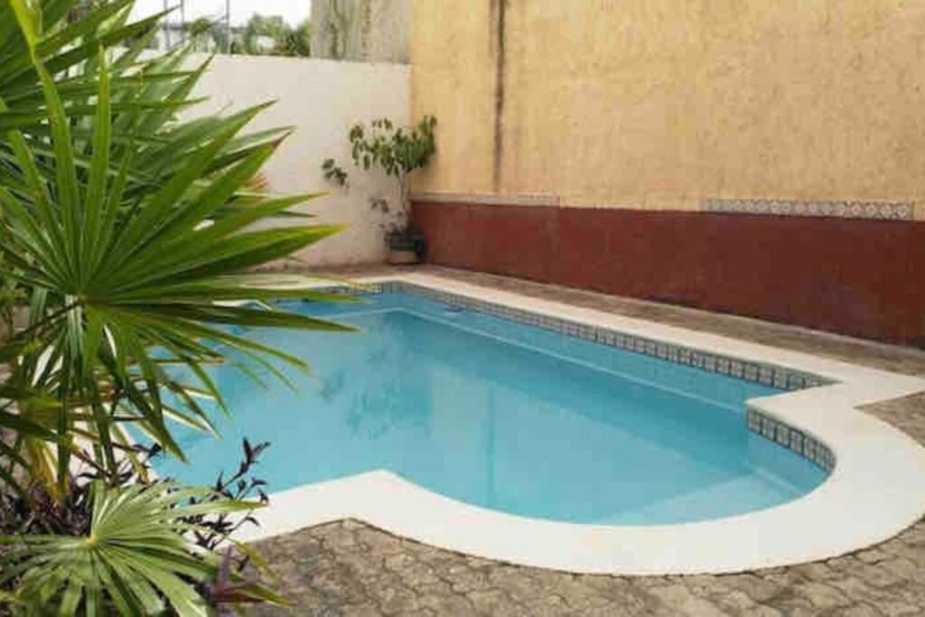 Apartment Cozy 3b2br Centric Location Pool Wifi