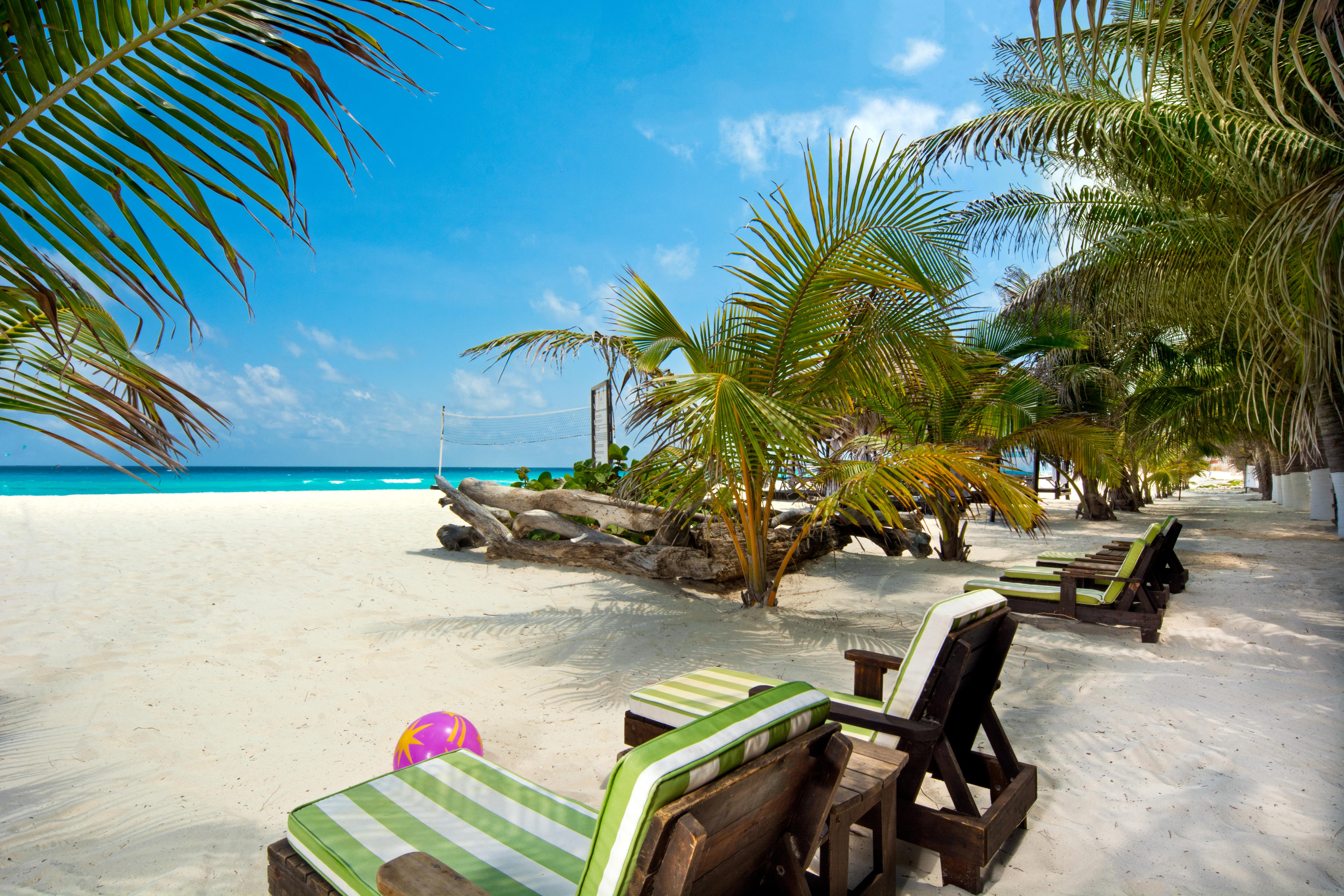 Flamingo All Inclusive 4*
