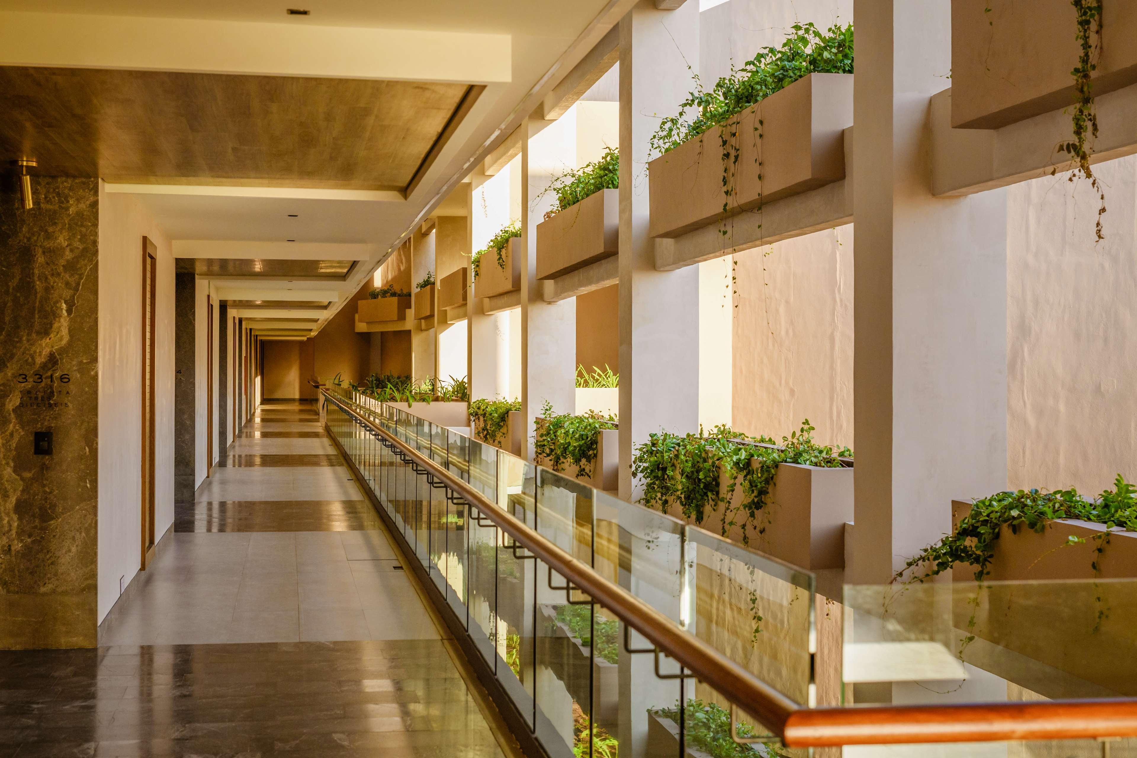 Resort Estudio Playa Mujeres Cancun