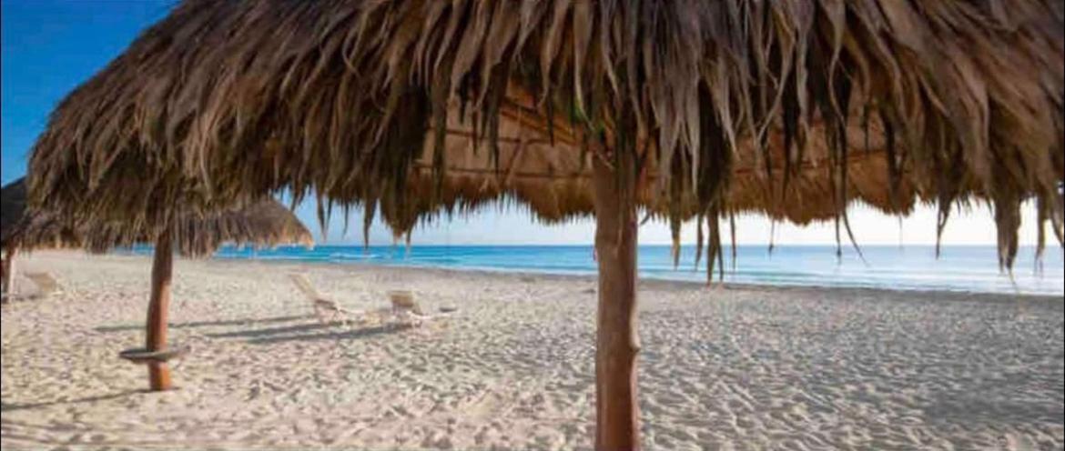 Apartment Brisas - By The Sea Cancún