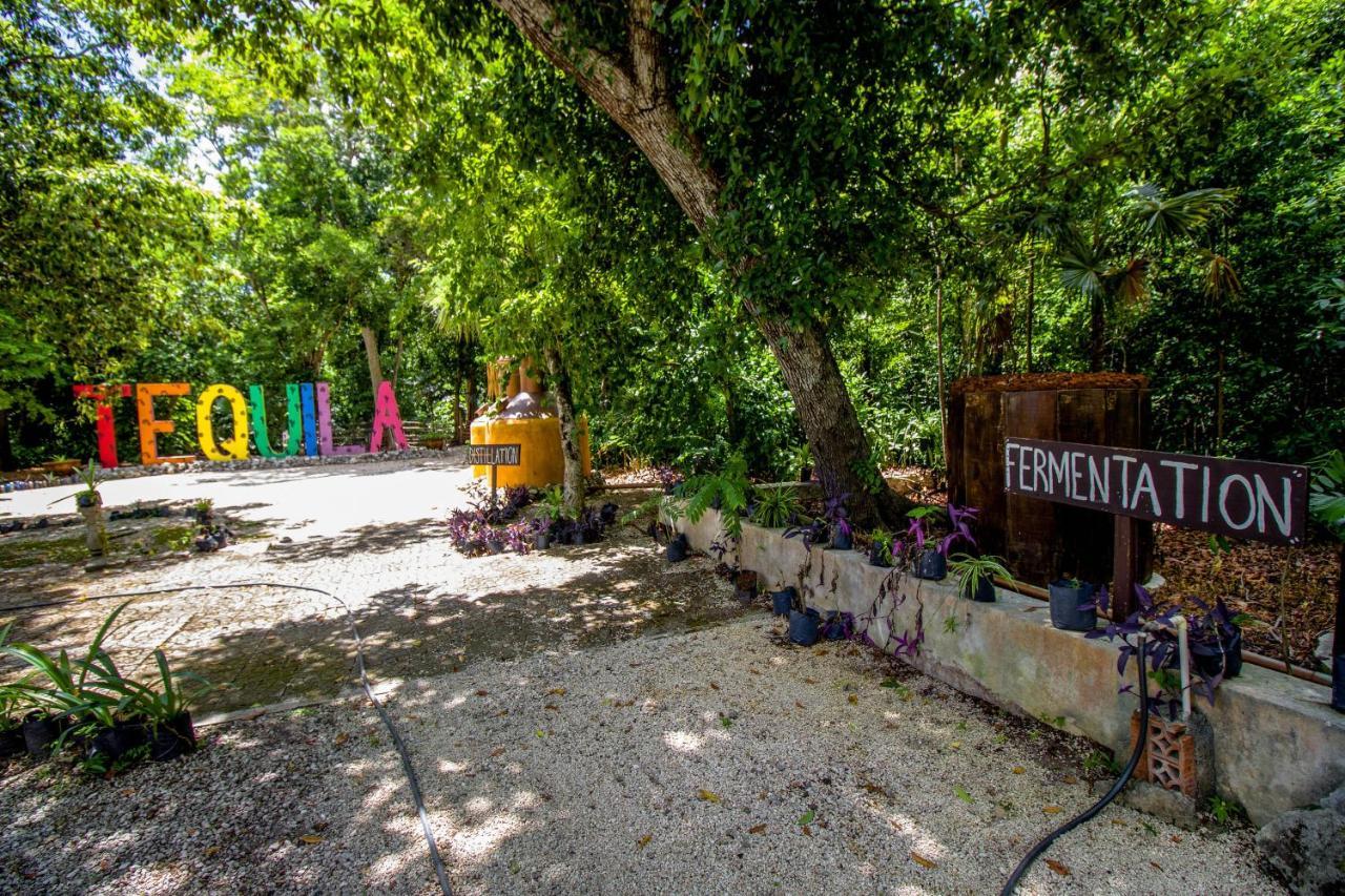 Tequila Hotel 4*