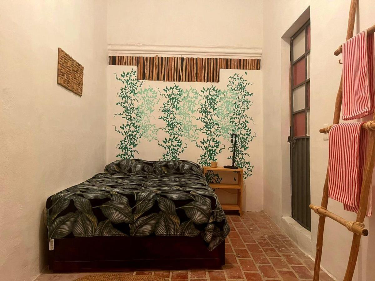 Hostel Housing Colors Cancun