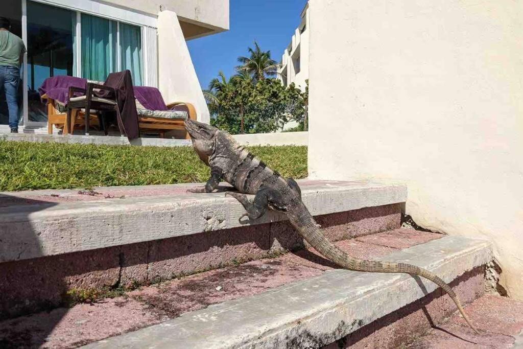 Oceanfront, Entire Apartment Cancún
