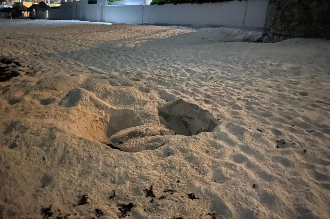 Apartment Beach, Fun & Relax At The Zone In Cancun