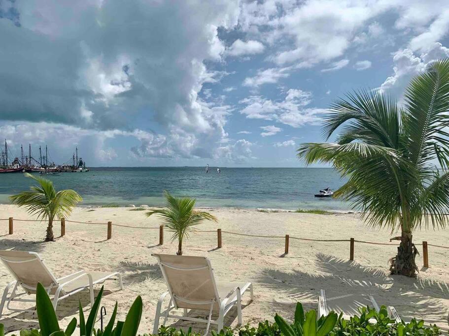 Apartment Reef Beachfront 3bdr By Casa Paraiso