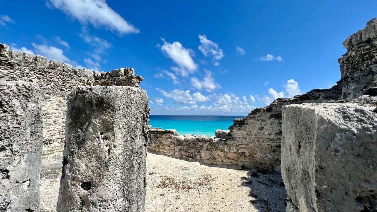 Xcanan Loft On Park Royal, The Area In Right On The Apartment Cancun