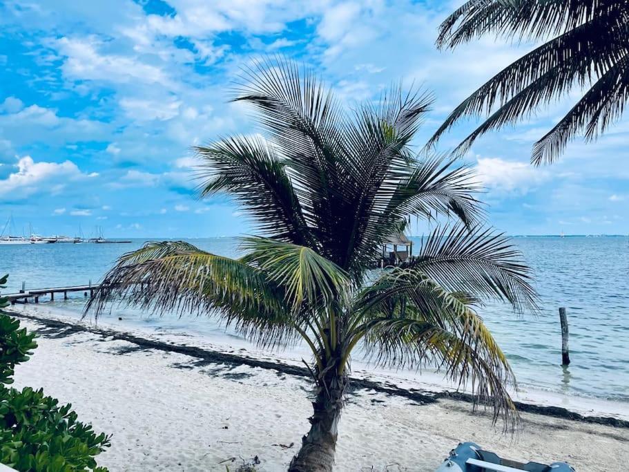 Apartment Punta Me Ocean View & Front *