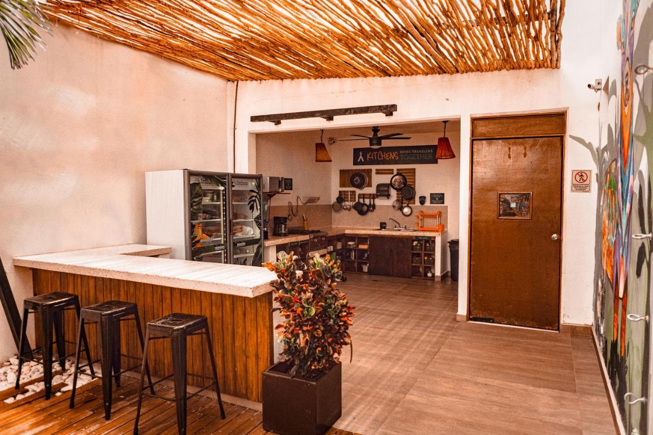 Nomads & Rooftop Pool Hostel