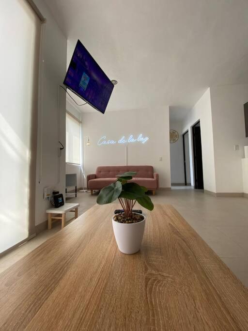 Apartment Casa De La Luz Cancun. Amazing With Stunning Pool In Front Of Mall