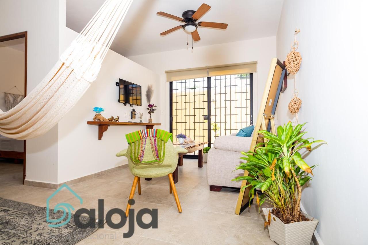Ideal Estudios Calidos Y Acogedores Apartment *