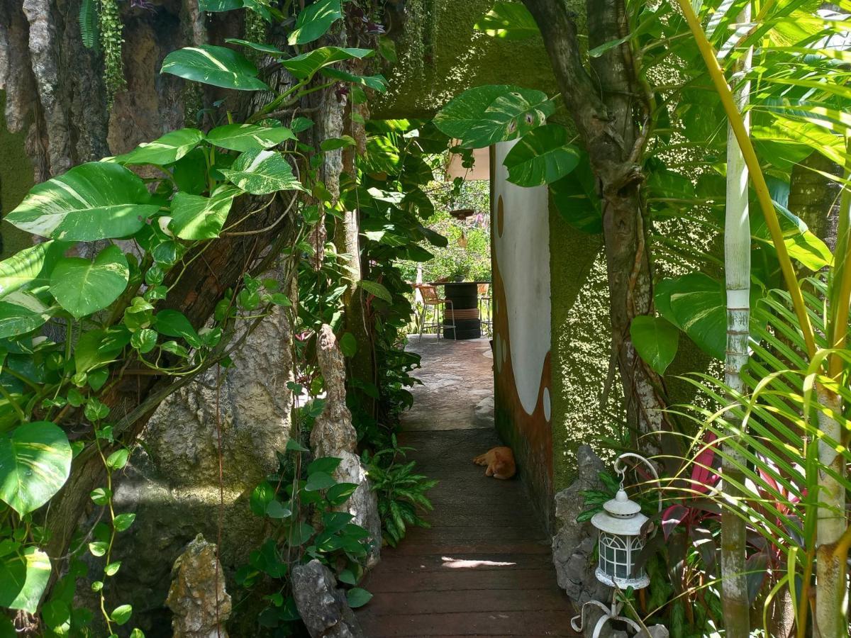 Quinta Vintage Guest house Cancun