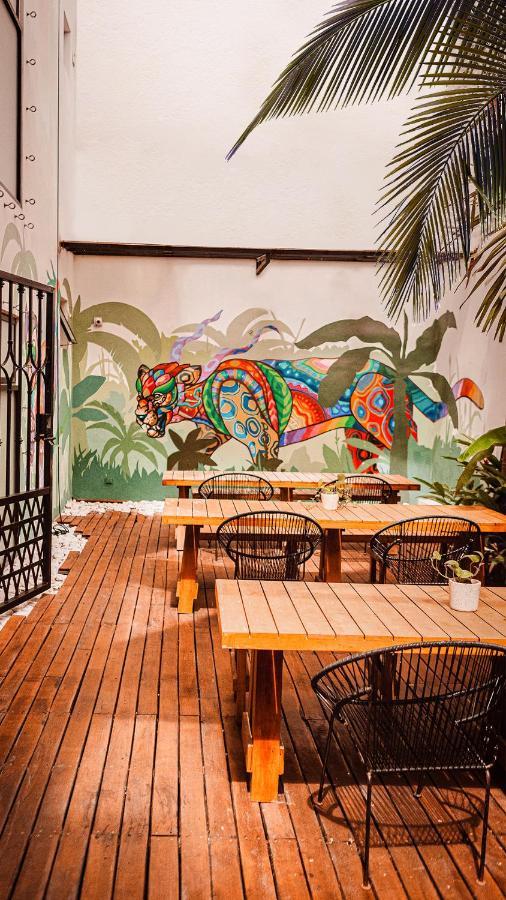 Nomads & Rooftop Pool Hostel Cancun